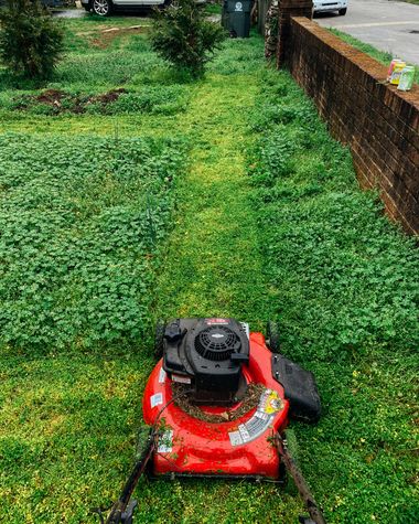Jardinería